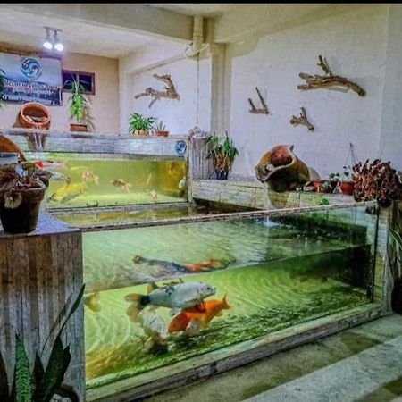 Recanto Villas Boas Ubatuba Extérieur photo